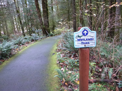 Wetland Trail – paved surface – lip on both sides of the trail